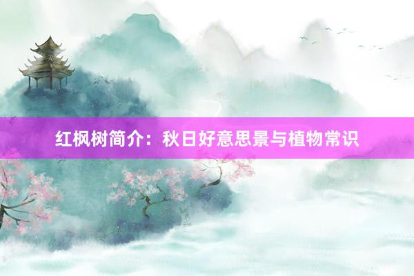红枫树简介：秋日好意思景与植物常识