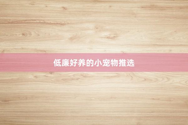 低廉好养的小宠物推选