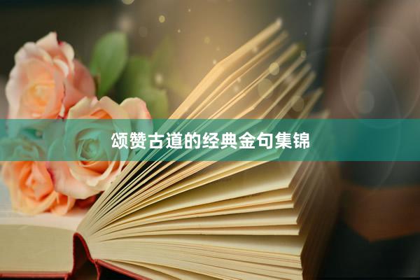 颂赞古道的经典金句集锦